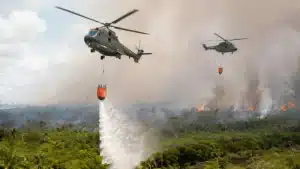 Helikopter water bombing sedang memadamkan titik api kebakaran hutan hari ini di area lahan gambut Kalimantan.